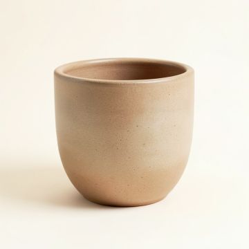 Rufus Ceramic Pot Planter (synthetic illustration; no displayed measurements)