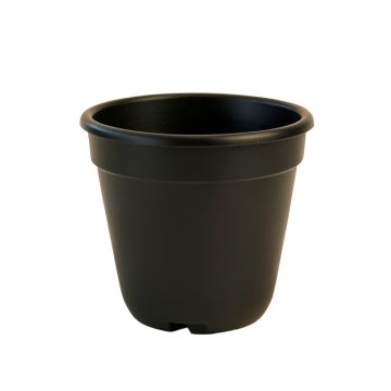 Abram Self-Watering Plastic Pot Planter
