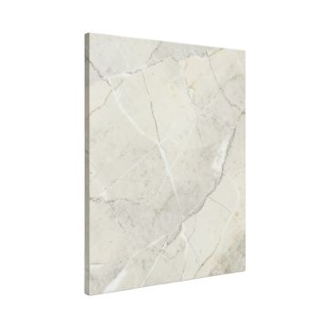 Swiss 32 '' X 32 '' Porcelain Marble Look Wall & Floor Tile