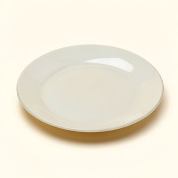 Premium Heavyweight 9 '' Melamine Salad Or Dessert Plate (synthetic illustration; no displayed measurements)