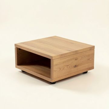 Lisbeth Coffee Table With Storage (synthetic illustration; no displayed measurements)