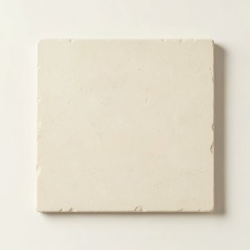 Shore Canyon Uninstalled Square Decorative Tile - Ivory (synthetic illustration; no displayed measurements)