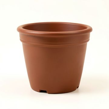 Kieffer Classic Pot Planter (synthetic illustration; no displayed measurements)