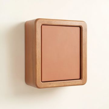 Alder Bend Wall-Mounted Entry Cabinet - Terracotta (synthetic illustration; no displayed measurements)