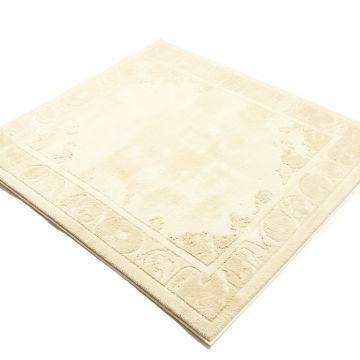 Colorful Ivory Area Rug