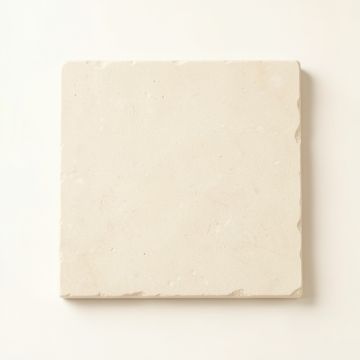 Fern Canyon Uninstalled Square Decorative Tile - Cream (synthetic illustration; no displayed measurements)