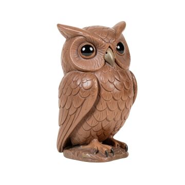 Owl Family
