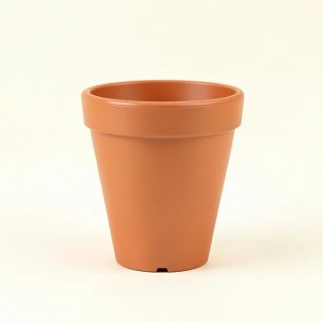 Heath Branch Empty Planter - Terracotta (synthetic illustration; no displayed measurements)