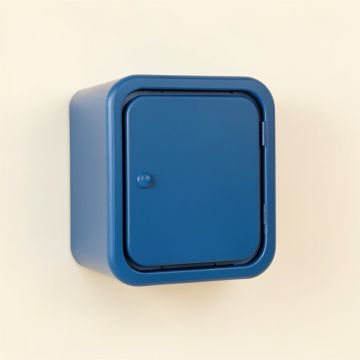 Maple Crossing Wall-Mounted Entry Cabinet - Blue (synthetic illustration; no displayed measurements)