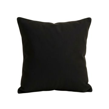 Rawr I ’ M A Dinosaur Throw Pillow (synthetic illustration; no displayed measurements)