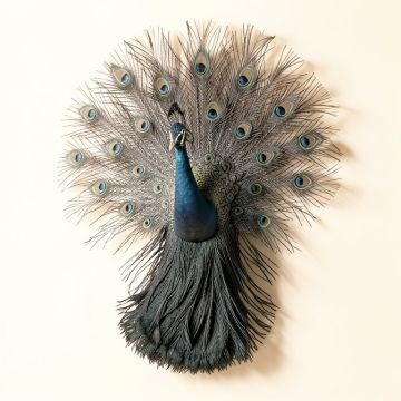 Peacock With Wing Wall Décor (synthetic illustration; no displayed measurements)