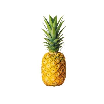 Life Is Sweet Pineapple - Textual Art Print On Canvas