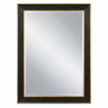 Akridge Mirror