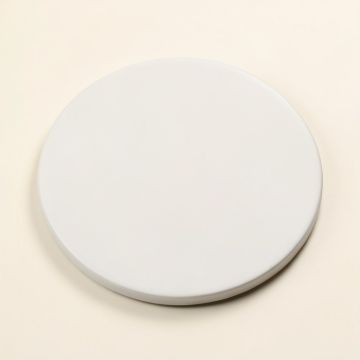 Penny 12 '' X 12 '' Porcelain Penny Round Mosaic Tile (synthetic illustration; no displayed measurements)