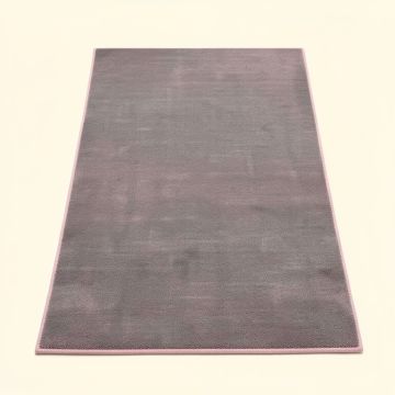 Hillsby Oriental Gray/Pink Area Rug (synthetic illustration; no displayed measurements)