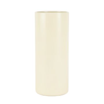 River Branch Empty Decorative Vase - Ivory