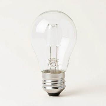 40 Watt Equivalent , B10 Led , Dimmable Light Bulb , Daylight ( 5000K ) E12/Candelabra Base (synthetic illustration; no displayed measurements)