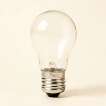 5W Incandescent Dimmable Light Bulb Base (synthetic illustration; no displayed measurements)