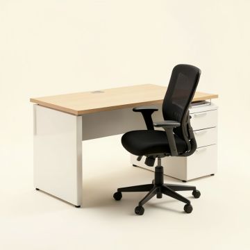 Aguanga Desk And Chair Set (synthetic illustration; no displayed measurements)