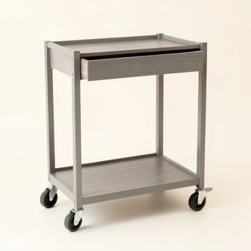 Hazel Canyon Empty Rolling Workshop Cart - Gray (synthetic illustration; no displayed measurements)