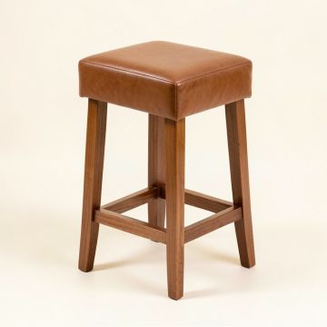 Khanna Solid Wood Bar & Counter Stool (synthetic illustration; no displayed measurements)
