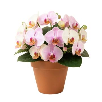 Triple Dancing Lady Silk Orchids Floral Arrangements In Pot