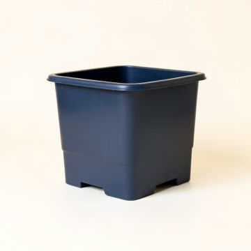 Shore Canyon Empty Raised Planter - Navy (synthetic illustration; no displayed measurements)