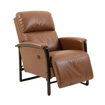 Almarie 35.8 '' Wide Power Lift Assist Standard Recliner