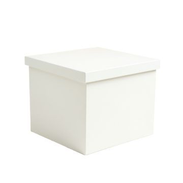 Olive Arc Closed Outdoor Storage Box - White