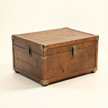 Annessia Coffee Table With Storage (synthetic illustration; no displayed measurements)
