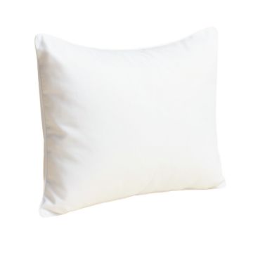Wayfair Basics Waterproof Allergy And Bed Pillow Protector