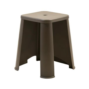 Armillaria Stool