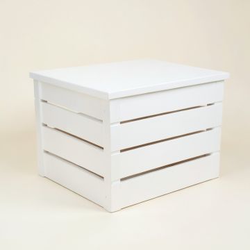Cedar Dale Closed Outdoor Storage Box - White (synthetic illustration; no displayed measurements)