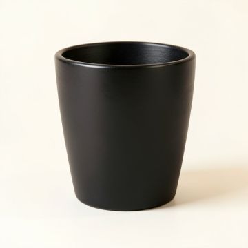 Delorme Ceramic Pot Planter (synthetic illustration; no displayed measurements)