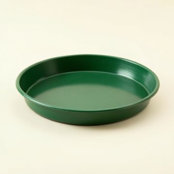 Summit Brook Serving Tray - Green (synthetic illustration; no displayed measurements)