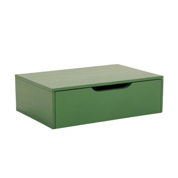 Lake Dell Desktop Monitor Riser - Green