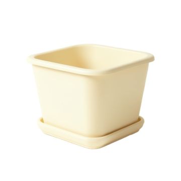 Ash Crest Empty Raised Planter - Ivory