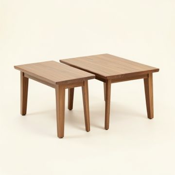 Arcturus 2 Piece Coffee Table Set (synthetic illustration; no displayed measurements)