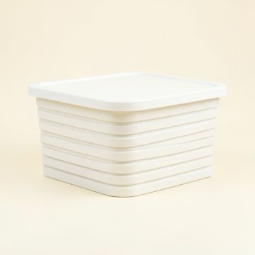 Rowan Canyon Closed Outdoor Storage Box - White (synthetic illustration; no displayed measurements)