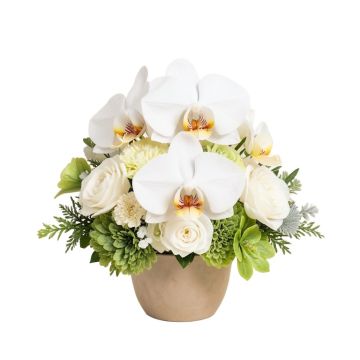 14 '' Hx19 '' W Phalaenopsis Orchid & Sedum Silk Flower Arrangement -White