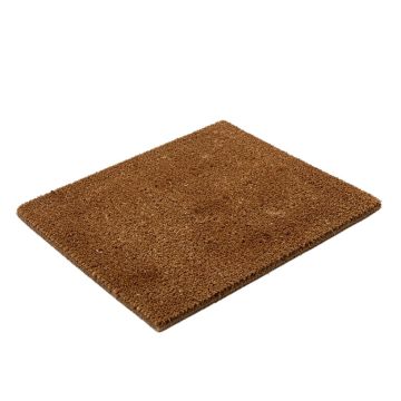 Ambleside White Owl 30 In . X 18 In . Outdoor Door Mat
