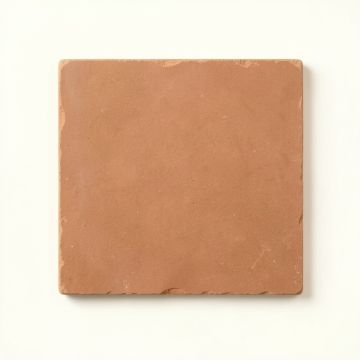Alder Brook Uninstalled Square Decorative Tile - Terracotta (synthetic illustration; no displayed measurements)