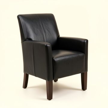 Jabre Faux Leather Upholstered Dining Chair In Black (synthetic illustration; no displayed measurements)