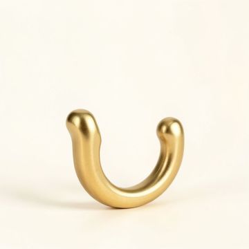 Wyoming Shower Hook In Gold (synthetic illustration; no displayed measurements)