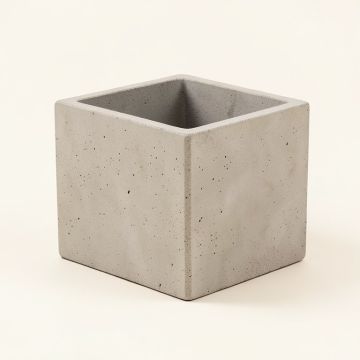 Geiger Planter Box (synthetic illustration; no displayed measurements)