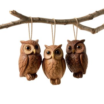 Hanging Baby Owlets On A Branch