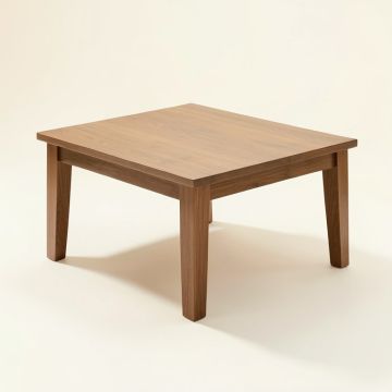 Lanita Coffee Table (synthetic illustration; no displayed measurements)