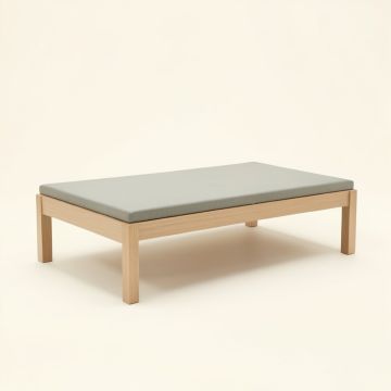 Rel Day Bed (synthetic illustration; no displayed measurements)