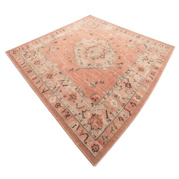 Southwestern Blush Area Rug