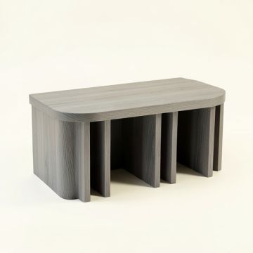 Sage Branch Shoe Storage Bench - Gray (synthetic illustration; no displayed measurements)